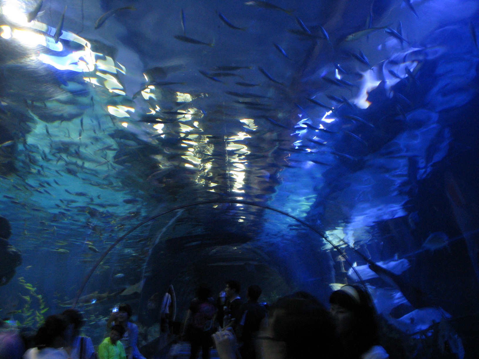 Busan Aquarium – The Next Excursion